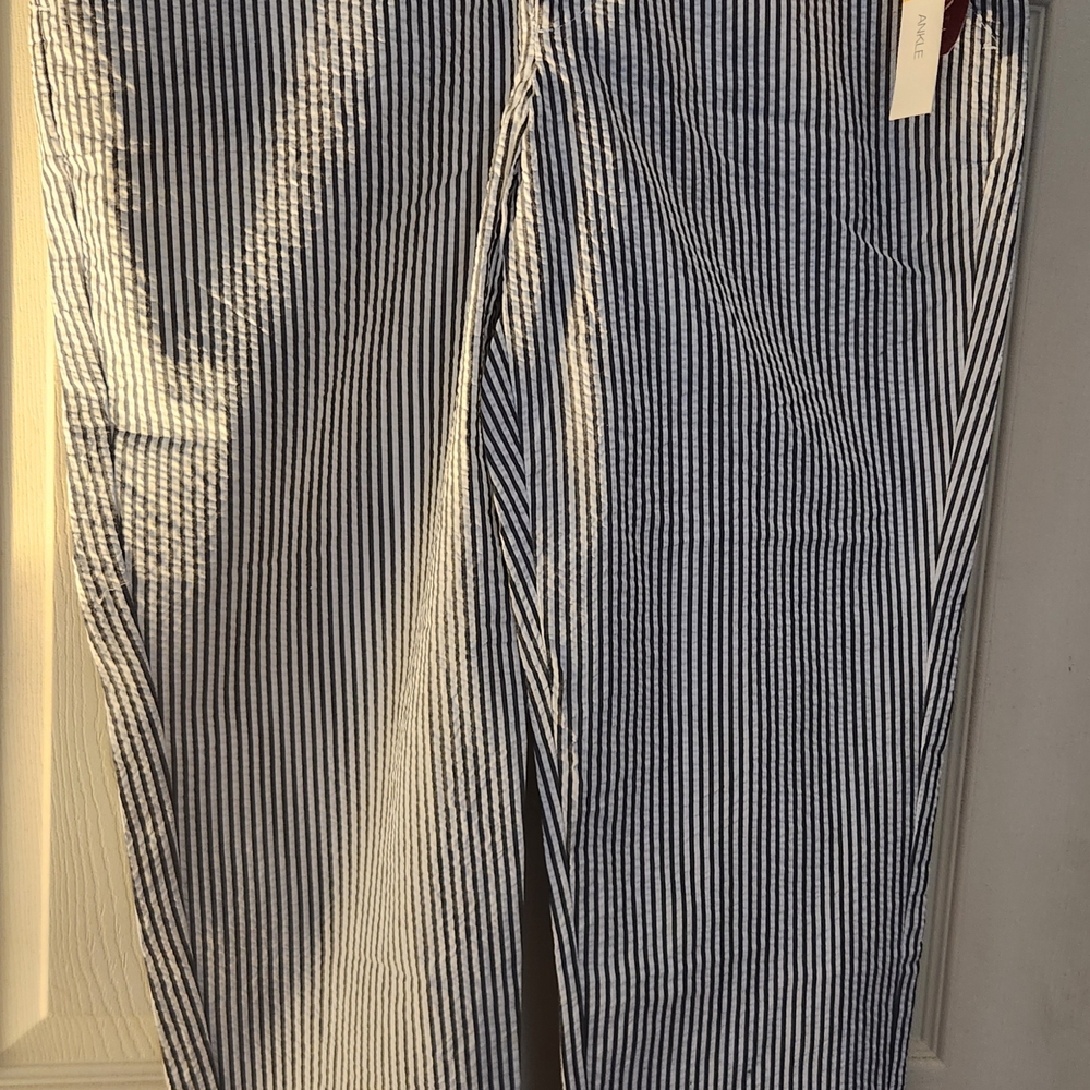 Merona Blue and White Cropped Seersucker Pants
